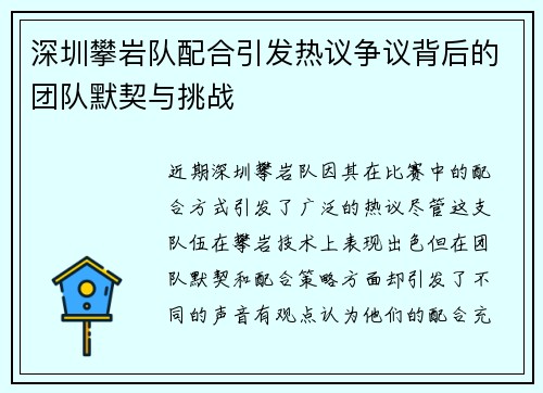 深圳攀岩队配合引发热议争议背后的团队默契与挑战